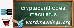 WordMeaning blackboard for cryptacanthodes maculatus